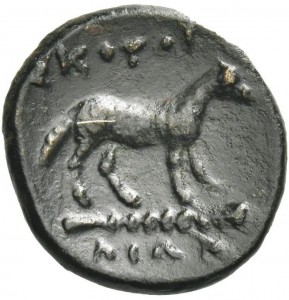Coin photo