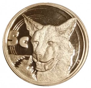 Coin photo