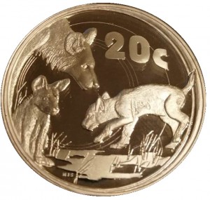 Coin photo