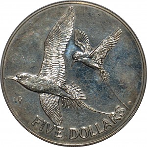 Coin photo