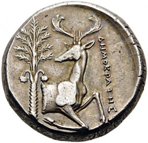 Coin photo