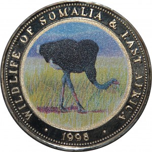 Coin photo