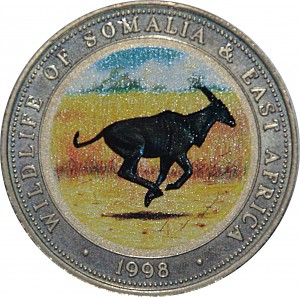 Coin photo