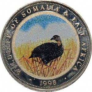 Coin photo