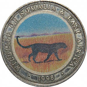 Coin photo