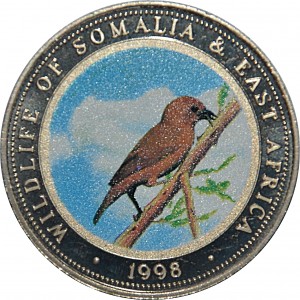 Coin photo