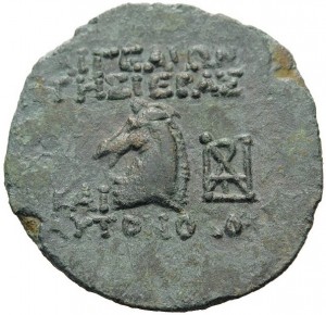 Coin photo