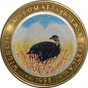 Coin photo