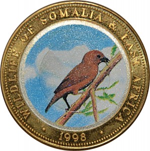 Coin photo