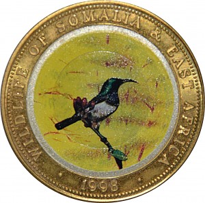 Coin photo