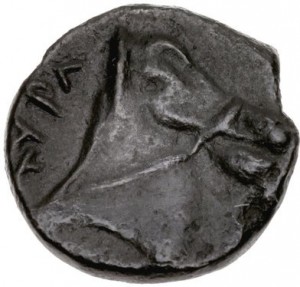 Coin photo