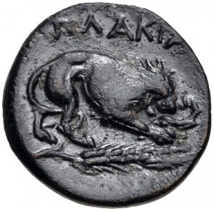 Reverse