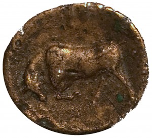 Coin photo