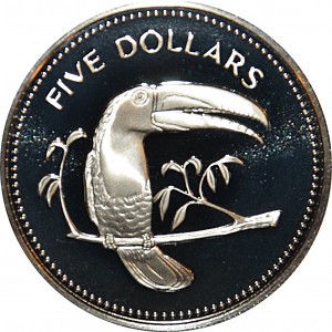 Coin photo
