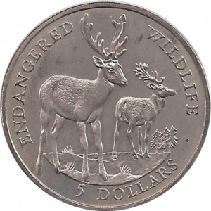 Coin photo