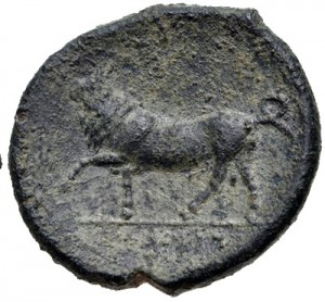Coin photo