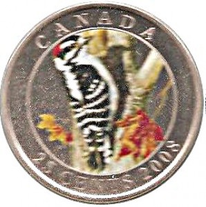 Coin photo