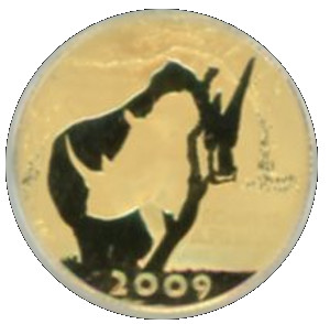 Coin photo