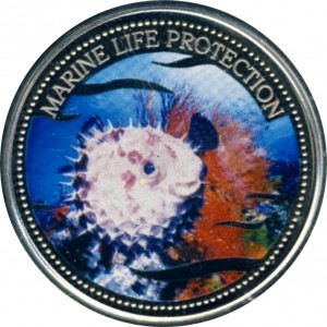 Coin photo