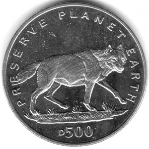 Coin photo