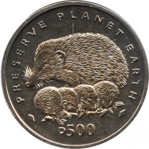 Coin photo