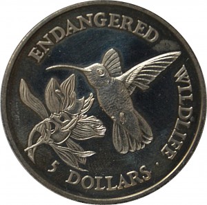 Coin photo