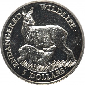 Coin photo