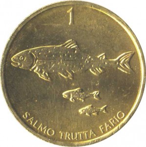 Coin photo