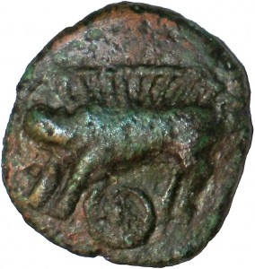 Coin photo