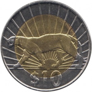 Coin photo