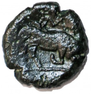 Coin photo