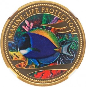 Coin photo