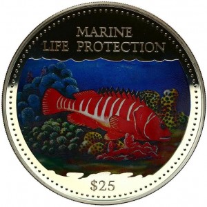 Coin photo