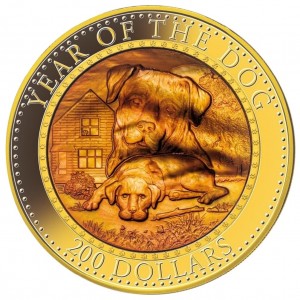 Coin photo