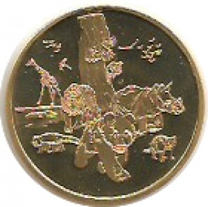 Coin photo