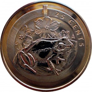 Coin photo