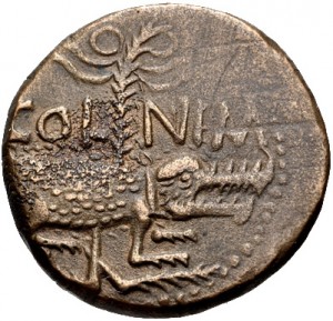 Coin photo