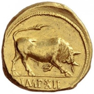 Coin photo