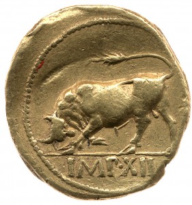 Coin photo