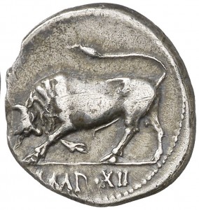 Coin photo