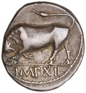 Coin photo