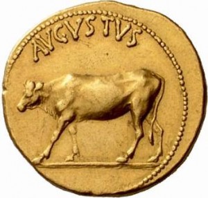 Coin photo