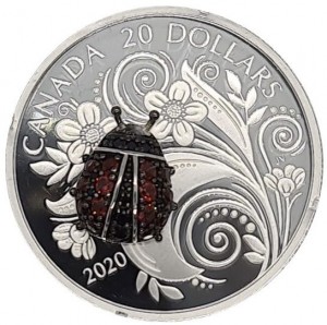 Coin photo