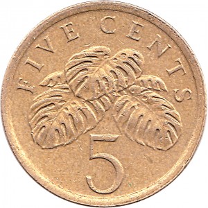Coin photo