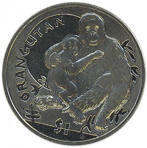 Coin photo