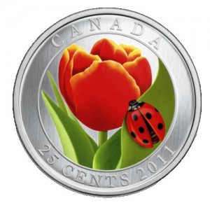 Coin photo