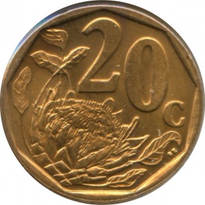Coin photo