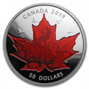 Coin photo