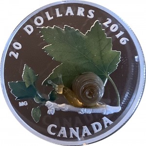 Coin photo