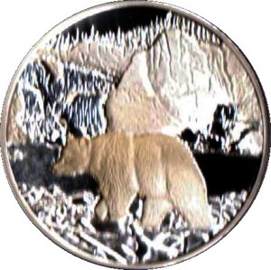 Coin photo